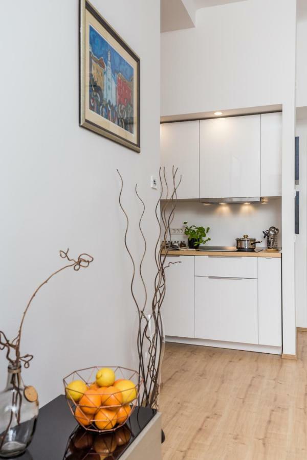 Apartman Deark Apartment Rijeka Ngoại thất bức ảnh